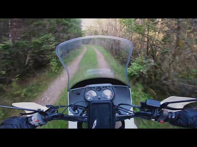 XL600V on the forest road (Honda transalp)