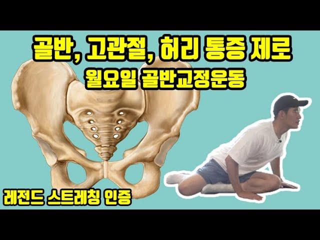 골반, 허리, 고관절 통증 없애주는 월요일골반운동 [레전드스트레칭]