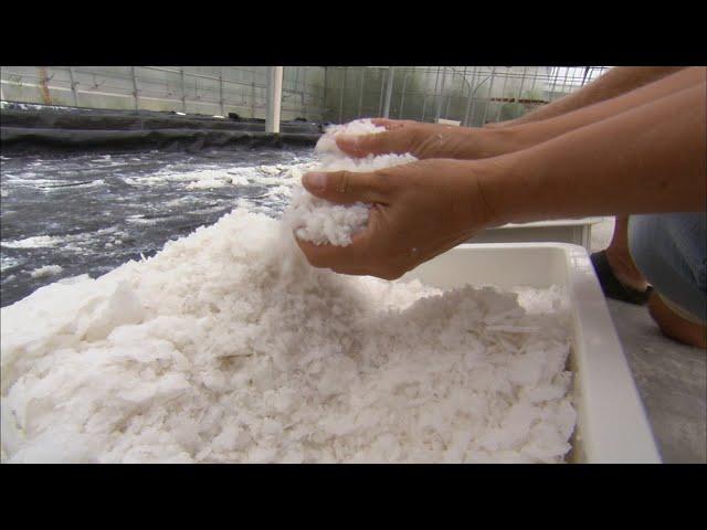 How Salt is Made | Localish