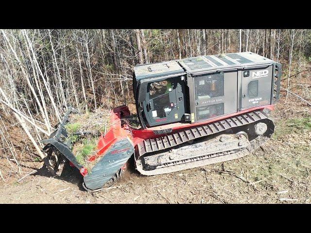 INCREDIBLE, MASSIVE 450HP MONSTER MULCHER MACHINE PRINOTH RAPTOR 500 EATS EVERYTHING!