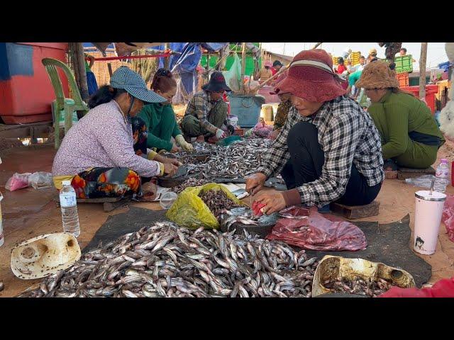 Khmer daily life on the road to Tonle Sap Lake