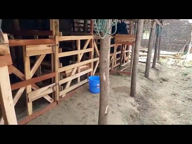 Horse stables in Sylhet, Bangladesh