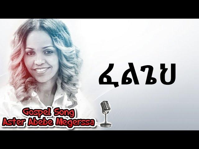 Aster Abebe | Felgehe - ፈልጌህ