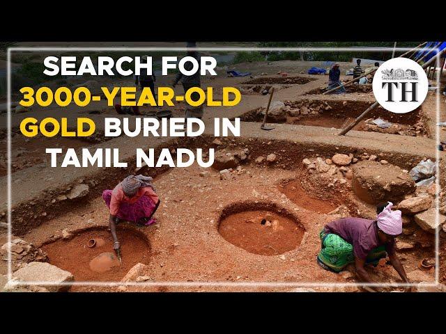 Search for 3000-year-old gold buried in Tamil Nadu | The Hindu