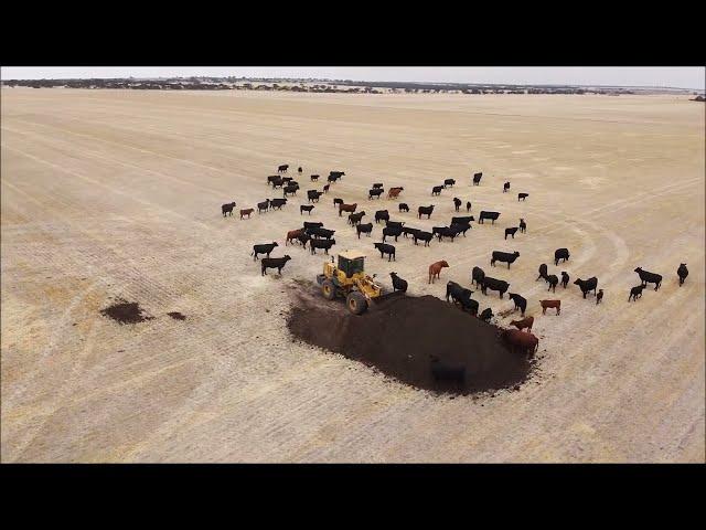 2020 Compost spreading (part 1) - Nhill, Victoria, AUSTRALIA