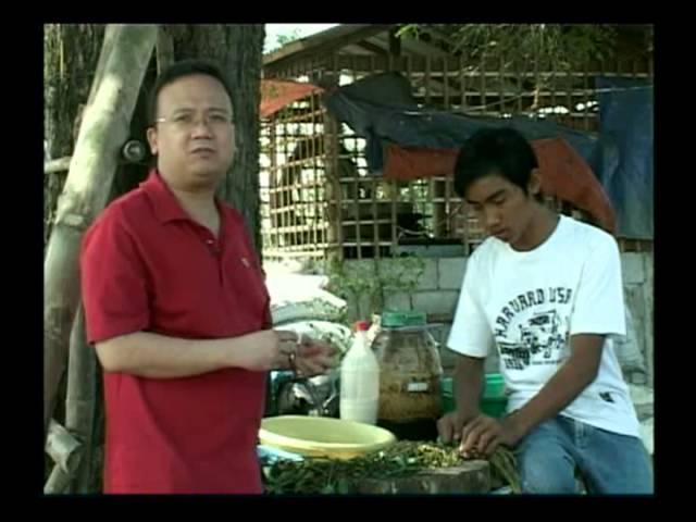 Freerange chickens Philippines Mag Agri tayo  Dr. Erwin Joseph Cruz