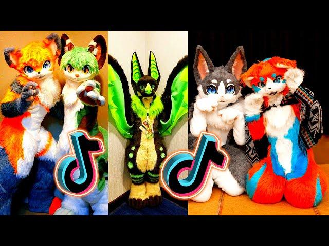 Furry Memes - Dino Mask TikToks Compilation #