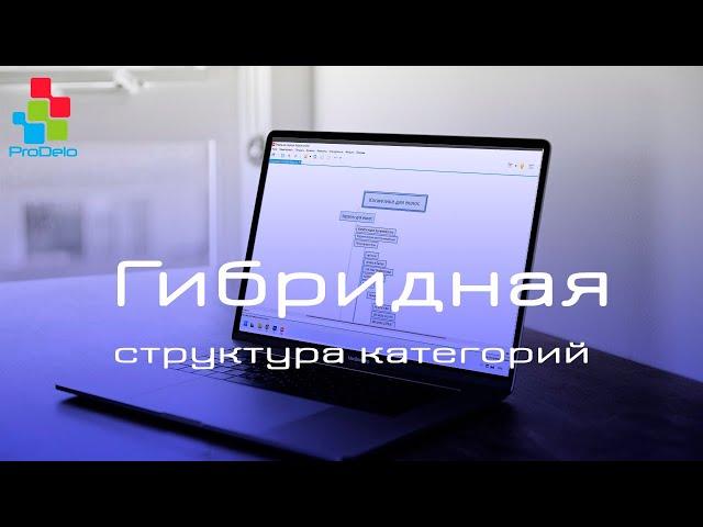 Гибридная структура категорий