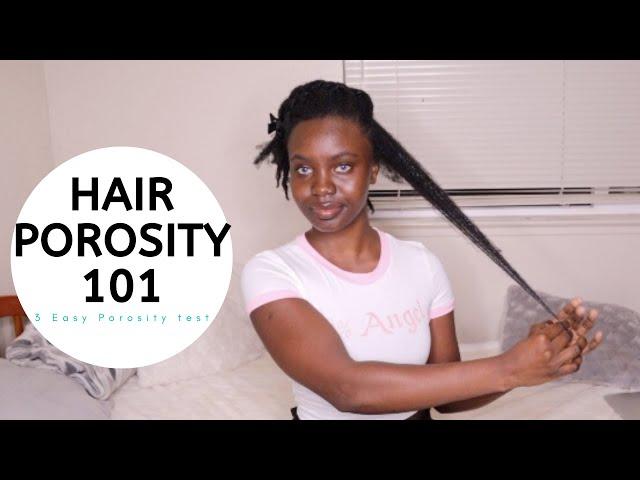 Hair Porosity 101 & 3 Easy Porosity Tests! For Type 4 Hair | 4c Natural hair Product Guide