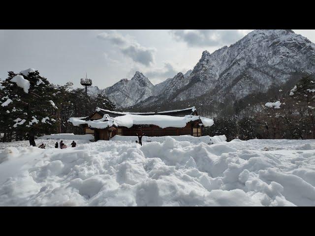 (4K)은빛 찬란한 설경에 모두 감동한 설악산과 신흥사 (Snow-covered Seoraksan National Park and Shinheungsa Temple)