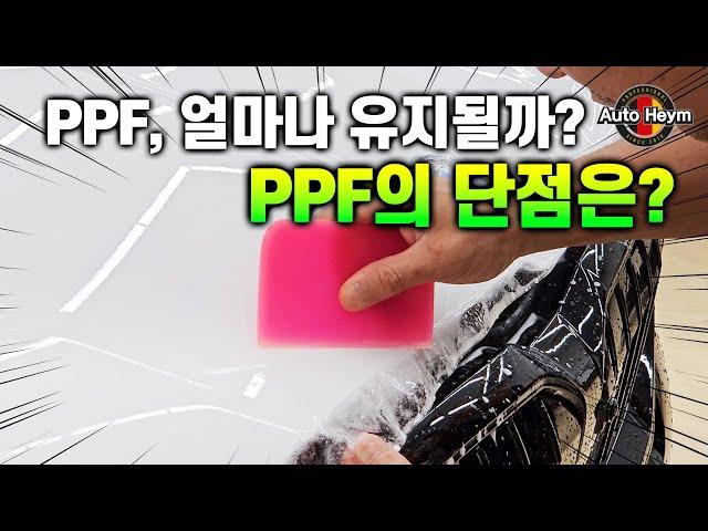 PPF필름 필요성, 단점, 유지 기간, 업체 선정 꿀팁 다 알려드리겠습니다!