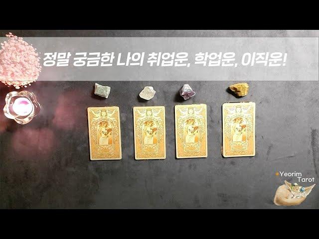 (타로)나의 취업운,합격운,이직운