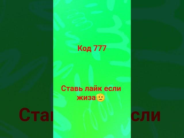 жиза🫡