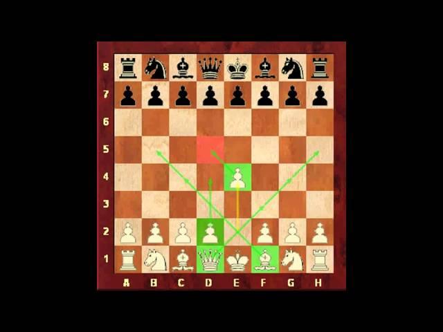 Chess for Beginners. Chess Openings #1. Opening Fundamentals. Eugene Grinis. Chess