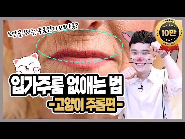 나이들어보이는 입가주름 없애는 방법 - 고양이주름편 해결방법, 꿀팁, 예방법까지