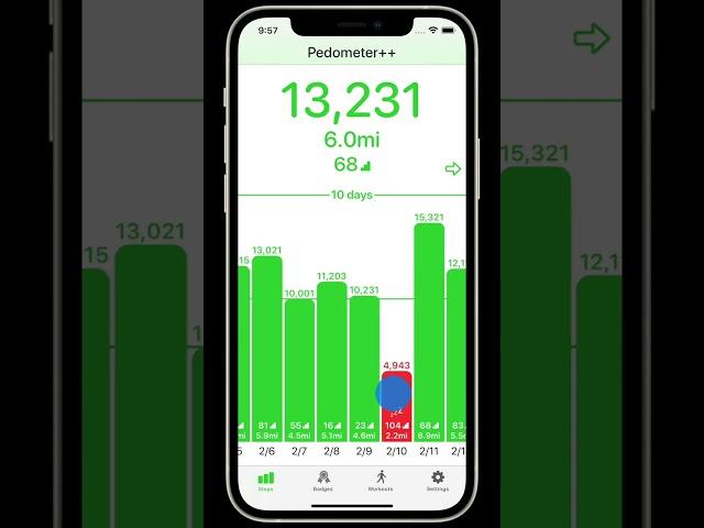 Pedometer++ V5 Overview