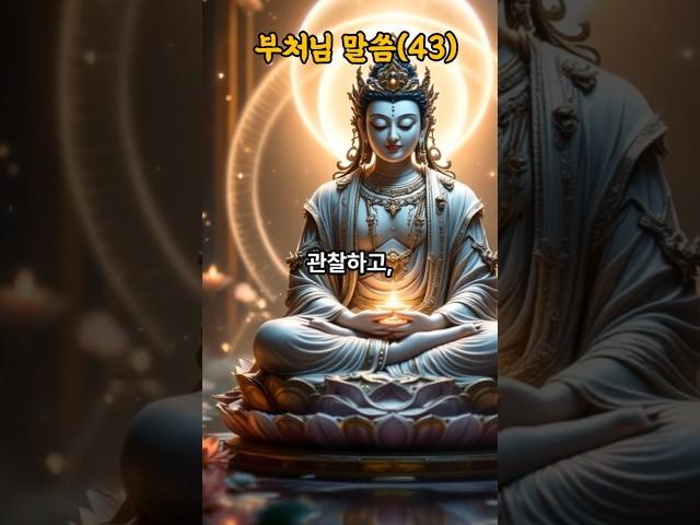 부처님 지혜의 말씀(43), -자존감- #석가모니 #명언 #불경