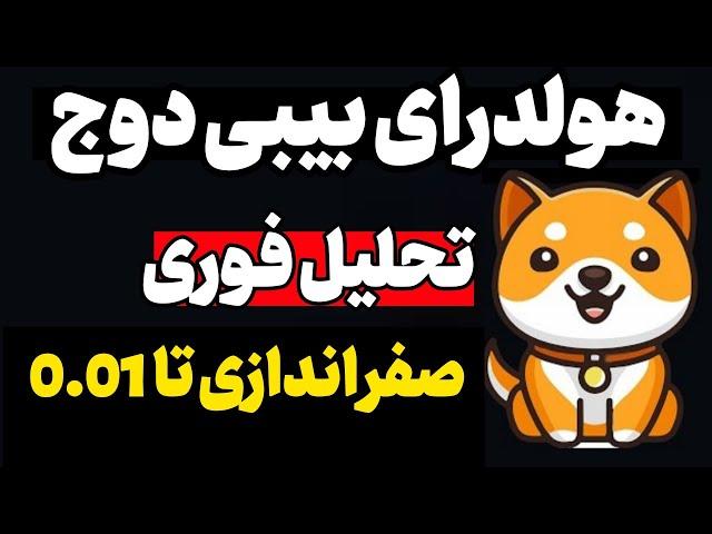 بیبی دوج تحلیل فوری  الان با بایننس می تونه صفر اندازی کنه خیلی مهم هولداری بیبی دوج حتما ببین