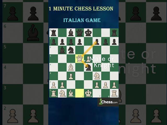 Want to CRUSH Your Opponents? Learn This Gambit Now! #chess #chessopening #shorts