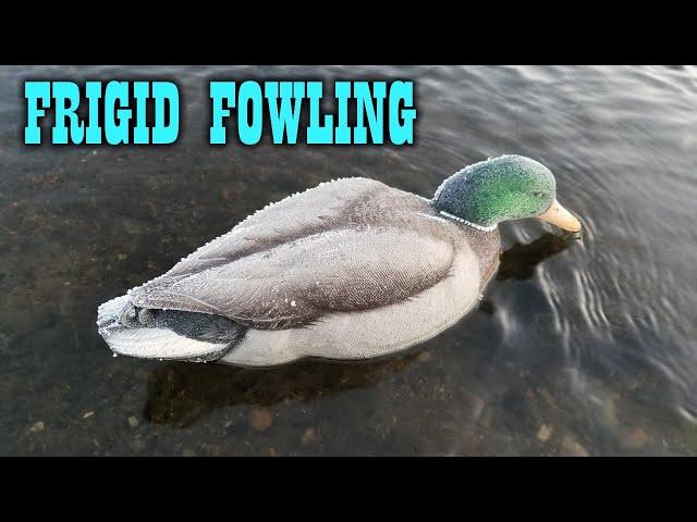 FROZEN Limits | Late Season Duck Hunt 2018