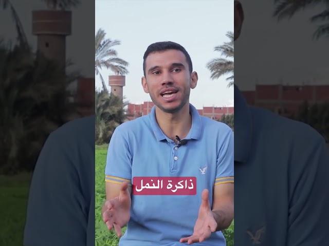 ازاي النمل بيفتكر الاشياء 