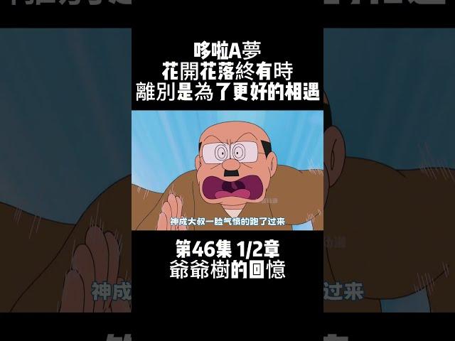 第46集 1/2章 哆啦A夢 爺爺樹的回憶 花開花落終有時 離別是為了更好的相遇 #動畫 #治癒 #哆啦A夢 | 小胡看電影