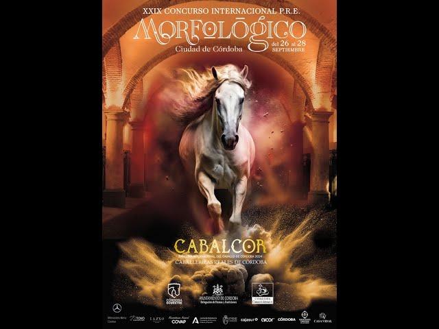 Cabalcor 2024, clasificatorio 3* Organizado por la Asoc de Córdoba Caballos PRE y Córdoba Ecuestre.