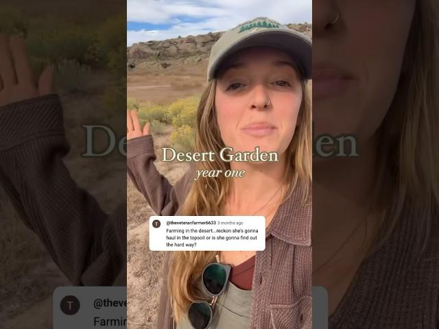 Who Knew?! Desert Garden Year ONE  #garden #desertlife #diy