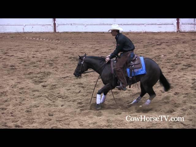 Todd Bergen: Reining to Reined Cow Horse