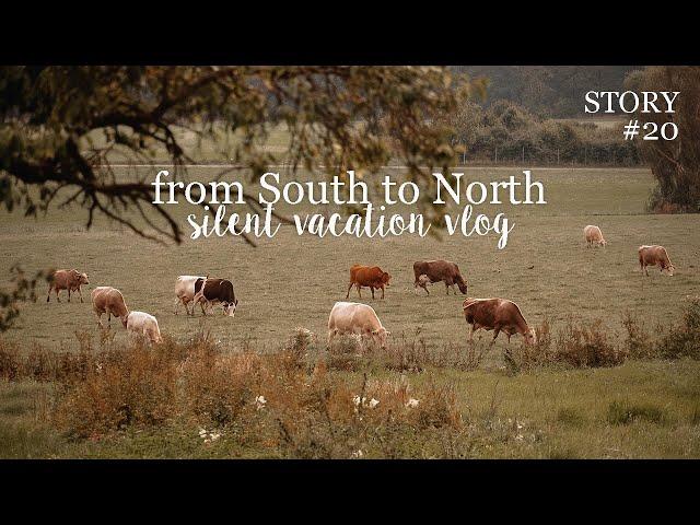 From South to North pt. 02  visiting my sister & apple harvest - slow living & silent vacation Vlog