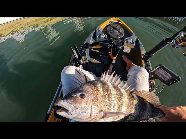 How to Catch Sheepshead with Jigs