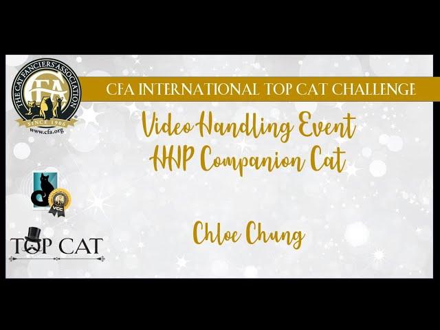 CITCC - Chloe Chung's Household Pet/Companion Cat - Video Event Final