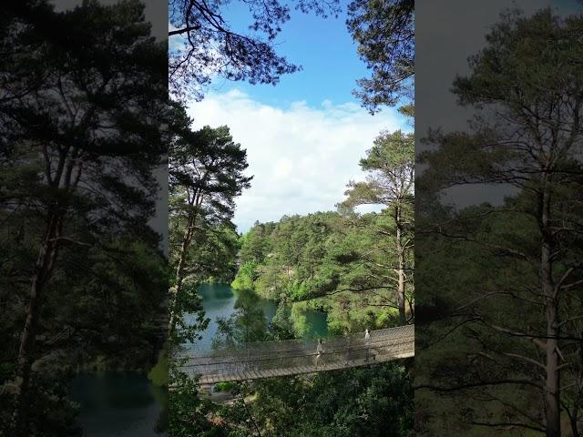 Britain's longest suspended rope bridge opens at The Blue Pool in Dorset