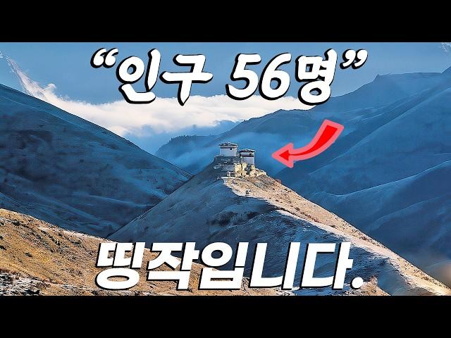 평점 9.8/10점. 이 영화로 2024년을 마무리합니다. [결말포함]