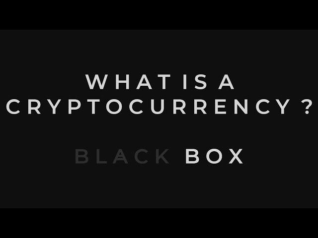 What is a Cryptocurrency? - Black Box Stake Pool [BLKBX]