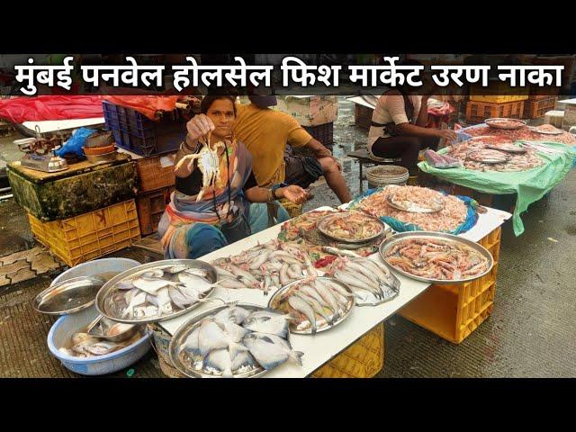 Panvel Wholesale Fish Market | Uran Naka Fish Market Panvel | Panvel Fish Market Latest Video 2023