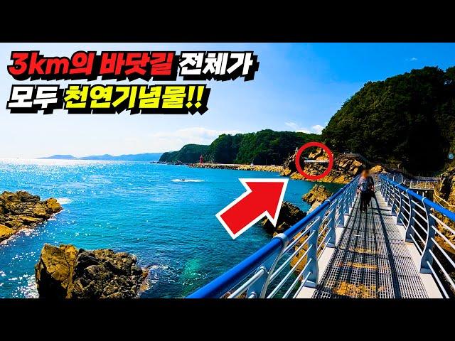 The train closest to the sea in the world according to the Guinness Book of World Records