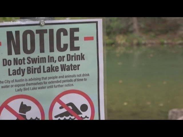 Lady Bird Lake in Austin reopens after more than 3 months