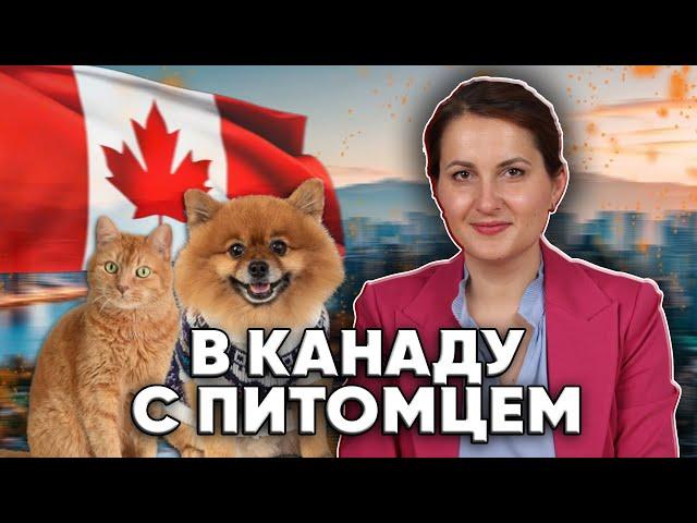 Можно ли переехать в Канаду с домашними животными?
