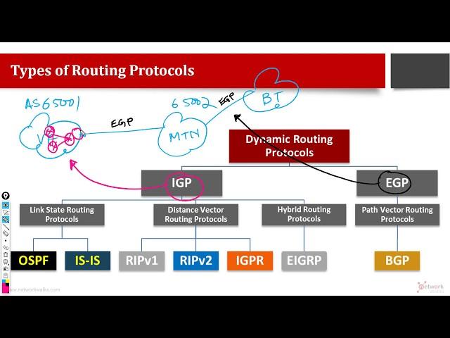 What are Routing Protocols and their Types?