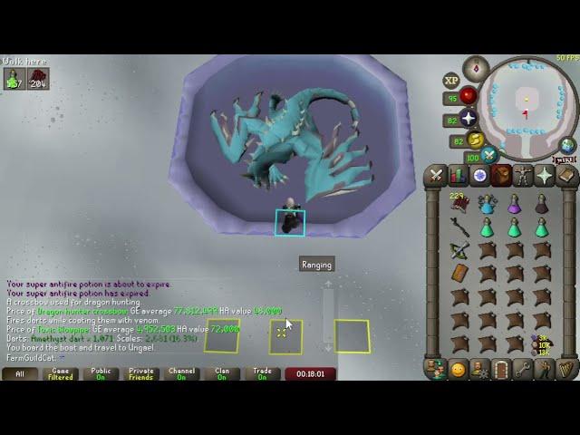 Ranged Vorkath Guide (Blowpipe/DHCB) (OSRS)