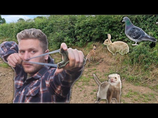 Slingshot Hunting Pigeon Ferreting Rabbits Catch and Cook