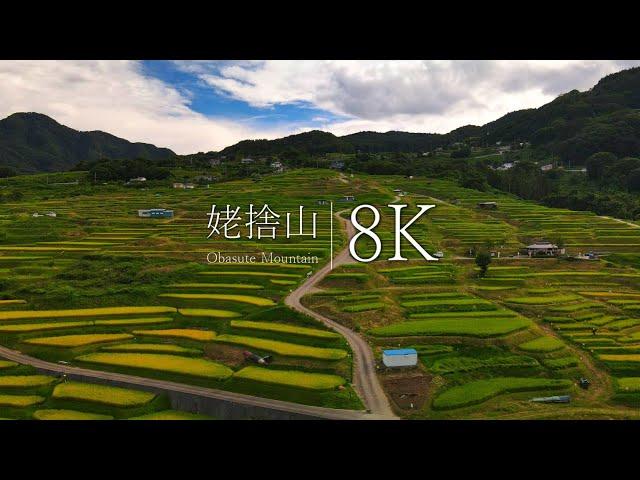 [Japan in 8K] Ubagase mountain Nagano's terraced rice fields