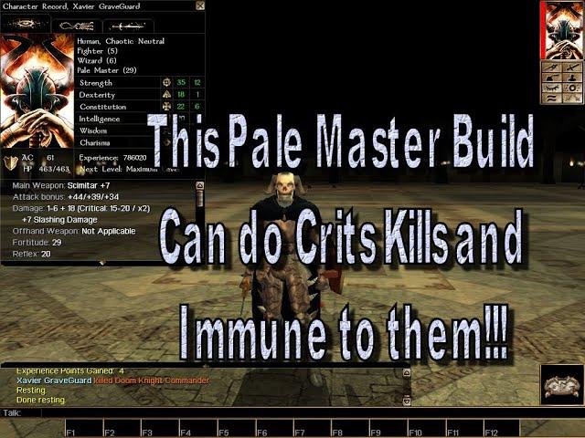 Neverwinter Nights The Pale Guardian Pale Master Build