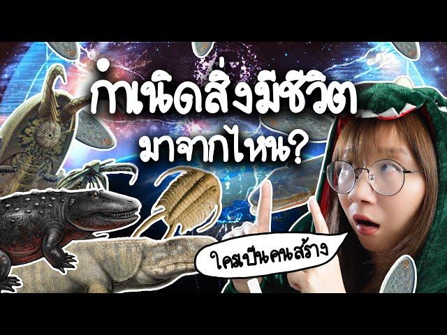 กำเนิดสิ่งมีชีวิต มาจากไหน? ใครเป็นคนสร้าง? | Point of View