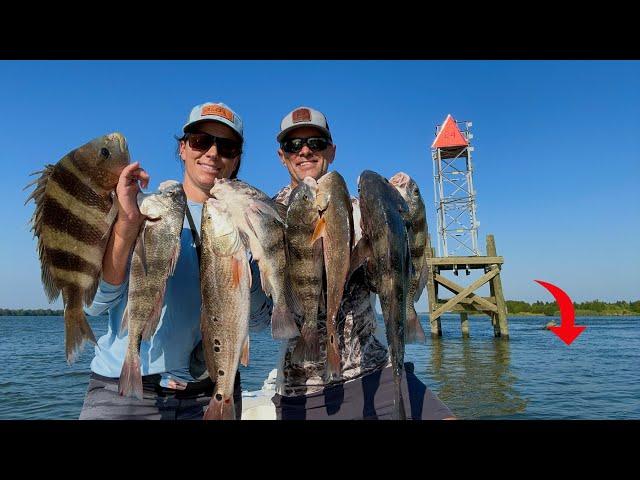 Why These Fish and Many More Were in This Spot!