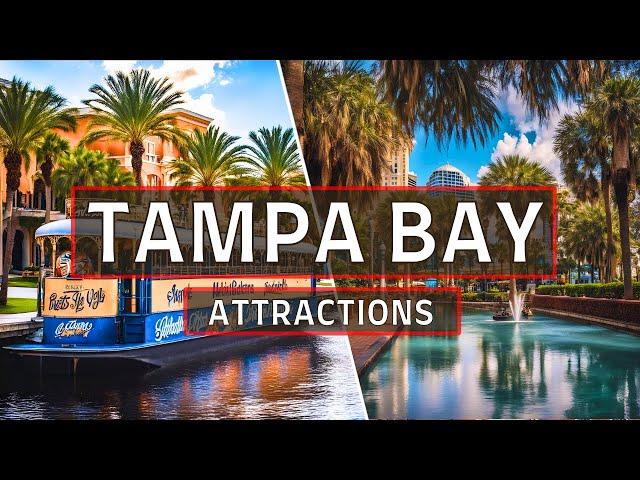 Tampa Bay Florida | The Best things to do in TAMPA Bay Florida in 2024