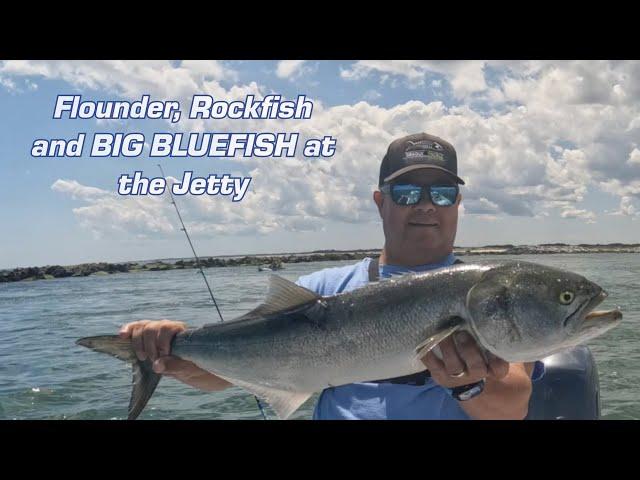 Flounder, Rockfish and BIG BLUEFISH at the Jetty