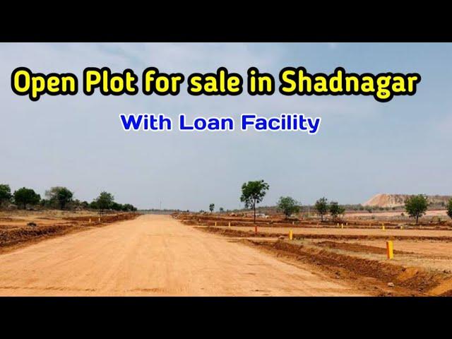 Open plot for sale in Shadnagar || with loan facility ||