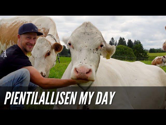 Pientilallisen My Day. Miltä näyttää mun sunnuntaipäivä?